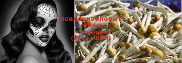 дживик Алексин