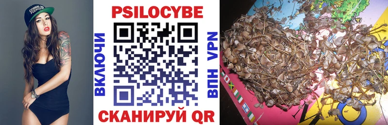 Псилоцибиновые грибы мицелий  Мичуринск 
